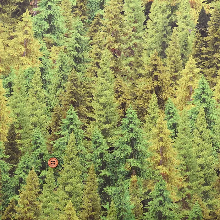 USAコットンプリント生地 TIMELESS TREASURES FOREST