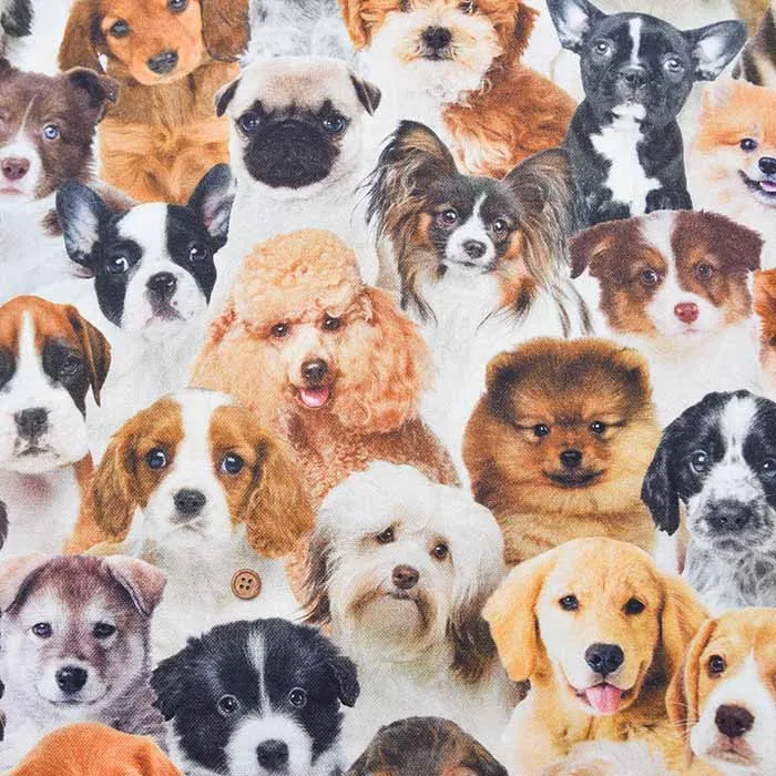 オランダ製 B&B fabric コットンプリント生地 DOG